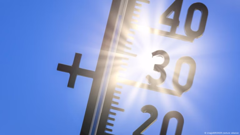 Educational institutions urge action to combat heatwaves – DW – 07/01/2025