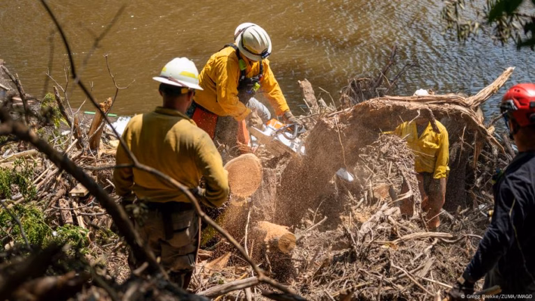 Heavy rain predictions impeding salvage operations – DW – 07/15/2025
