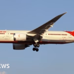 Debate Over Fateful Plane Crash Intensifies with Release of Cockpit Recordings