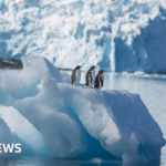 Youthful American aviator held captive on remote Antarctic landmass