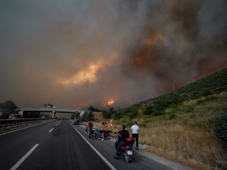 Wildfires in Turkey claim the lives of 10 firefighters and rescue personnel as temperatures soar | Environment Update