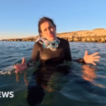 Exploring the Potential for Reviving Whitened Coral: A BBC Expedition to a Secluded Reef