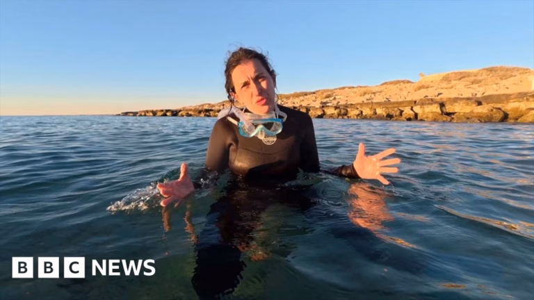 Exploring the Potential for Reviving Whitened Coral: A BBC Expedition to a Secluded Reef