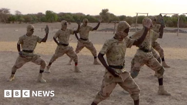 The transformation and evolution of an al-Qaeda affiliate into Africa’s most lethal armed organization.