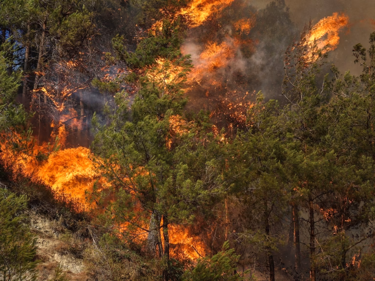 Wildfire Experts Tackle Blaze Amidst Climate Issue in Syria