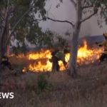 Authorities force inhabitants to leave homes due to intense forest fires in Spain