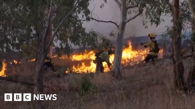 Authorities force inhabitants to leave homes due to intense forest fires in Spain