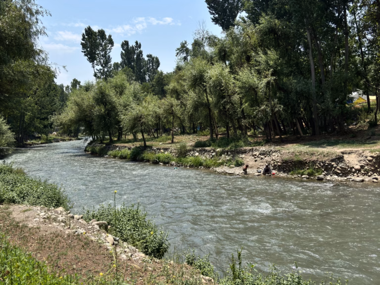 Kashmir Locals React with a Mix of Excitement and Concern to Sightings of Otters in Local Waters | Wildlife Updates