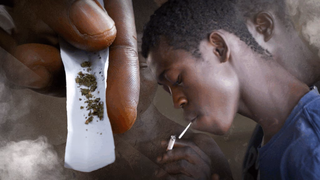 Destructive effects of Kush: Lives are being destroyed by ingredients sourced from the UK