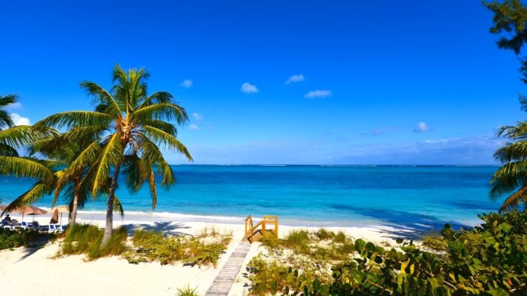 Three individuals are victim of the dead following tragic nightclub violence at Turks and Caicos, with ten others injured.