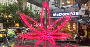 Thailand’s Reversal on Cannabis Law Leaves Industries Struggling to Stay Afloat | Commerce and Sports News