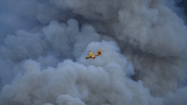 Wildfire consumes more than 11,000 hectares in southern France.