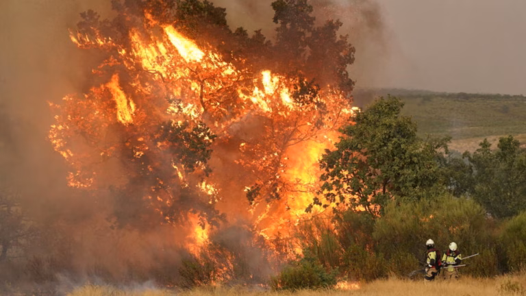 Spain seeks assistance from European partners in battling intense forest fires