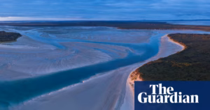 Tasmania: Despite Concerns for Endangered Orange-Bellied Parrot, Labor Gives Approval to Controversial Robbins Island Windfarm Project