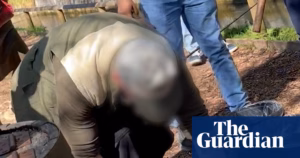 Fish farming site in popular Cotswolds destination criticized for mistreatment of trout | Animal Rights