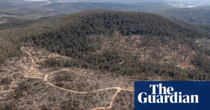 Publicly Owned Timber Corporation Accused of 29 Violations for Neglecting Endangered Fauna Preservation | Ecology