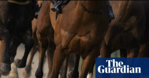 Tasmanian jockey penalized $2,000 for animal mistreatment due to repeated lashing of racehorse | Tasmania