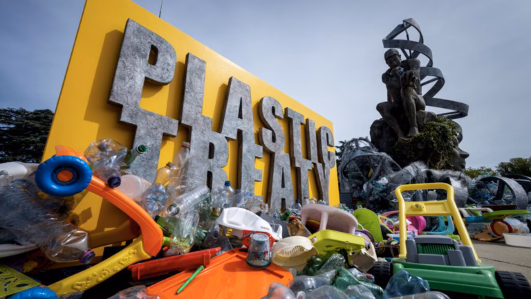 A “Future Without Plastic”? UN Plastic Pollution Discussions Begin in Geneva