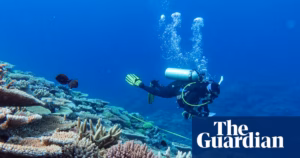 The Great Barrier Reef experiences a record-high decline in living coral over the past year due to catastrophic coral bleaching, marking the largest annual decrease since the 1980s. | Great Barrier Reef Writes a New Record in Coral Loss After Record Bleaching Event