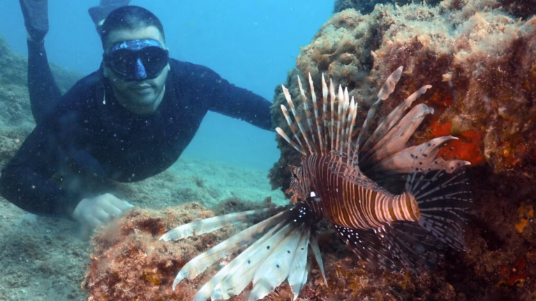 Mediterranean waters reach all-time high, facilitating the proliferation of invasive species.