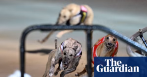 Tasmanian Premier pledges to halt dog racing industry in pursuit of crossbench support for his governing minority | Canine Racing