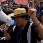 Mexican residents demonstrate against holidaymakers and urban revitalization