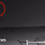 Observe: A shooting star streaks through the Australian darkness