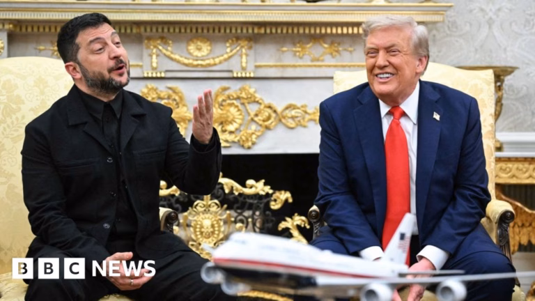 Observe: The Astonishing Attire of Zelensky and Further Highlights from the Trump Encounter