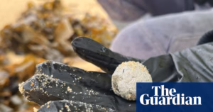Residents in New South Wales are being advised to avoid unusual ‘waste spheres’ that have started showing up on beaches again.