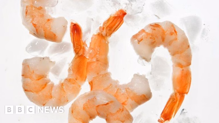 Walmart Issues Recall of Shrimp Amid Concerns Over Potential Radioactivity Following Public Health Alerts
