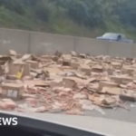 A Peggy Cox title has been rephrased as follows: A highway in the United States comes to a halt due to a hot dog spill.