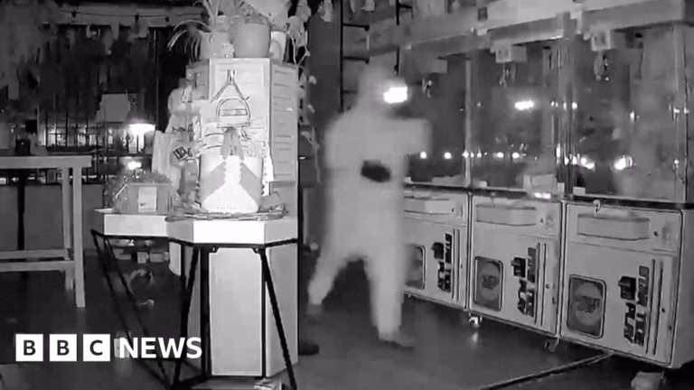 The “Masked Robbers’ Heist of $7,000 Worth of Labubu Dolls in California”