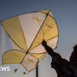 Kites face danger as airplanes pose a threat