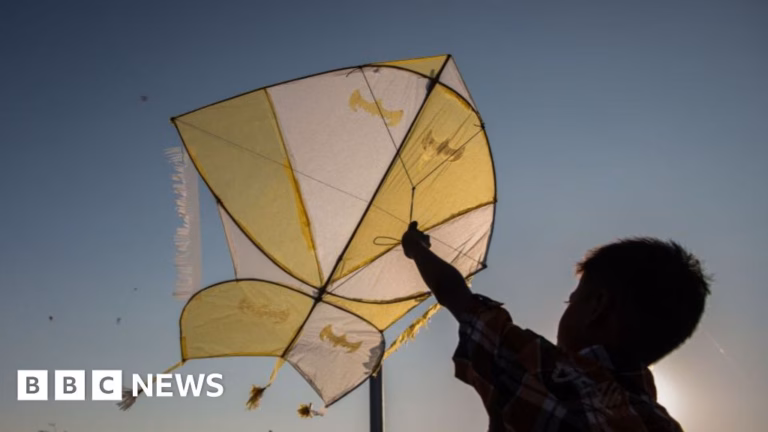 Kites face danger as airplanes pose a threat