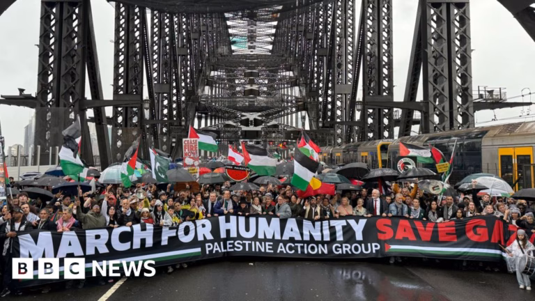 Palestine solidarity protest shuts down Sydney Harbour Bridge