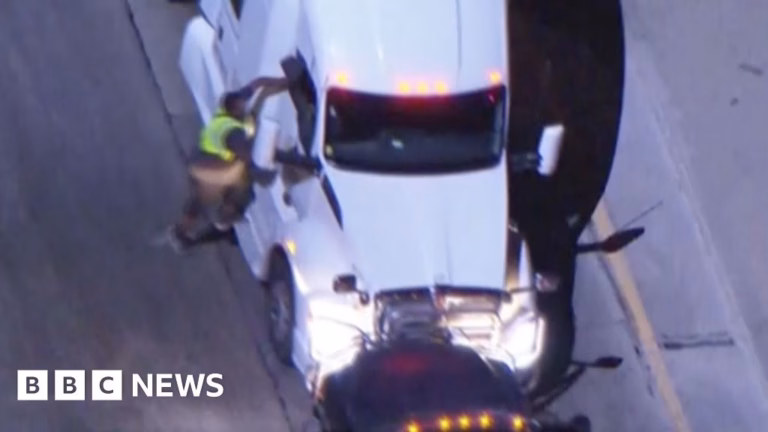 Criminal Hijacks Cargo Truck while Evading Law Enforcement Chase