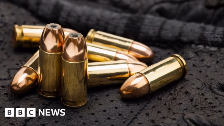 US Citizen Receives 8-Year Imprisonment for Sending Arms to North Korea
