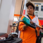 India’s push towards biofuel is generating massive savings, yet it also raises significant concerns.