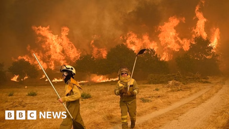 Spain and Portugal are experiencing ongoing wildfires amid a persistent heatwave.