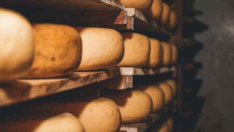 Embark on a grand journey to uncover the hidden gems of Europe’s cheese world: How far are you willing to venture for the perfect cheese experience?