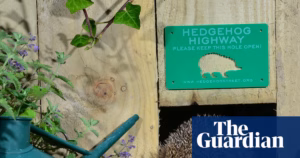 Tree-dwelling critter corridors may become mandatory for upcoming constructions | Wildlife