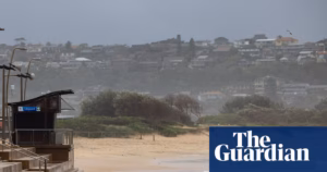 A man meets his demise due to a shark encounter close to Dee Why, situated on the northern coast of Sydney.