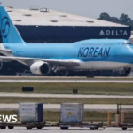 South Korean Employees Released from Detention Following US Operation Return to Their Homeland