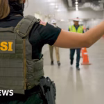 Immigration Enforcement Operation Targets Hyundai Facility in Georgia, Impacts Visitors on Work Permits
