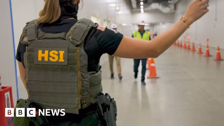 Immigration Enforcement Operation Targets Hyundai Facility in Georgia, Impacts Visitors on Work Permits