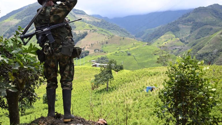 US Terminates Colombia’s Drug War Certification for the First Time in Nearly Three Decades