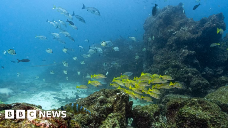 The pivotal marine agreement has achieved a significant milestone, cementing its activation.